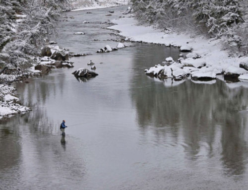 Embrace the Weather: Fishing in Rain, Snow, and Sun