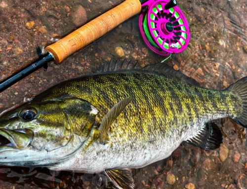 The top five smallmouth bass rivers we love