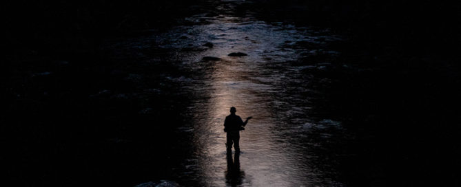 Angler at dusk