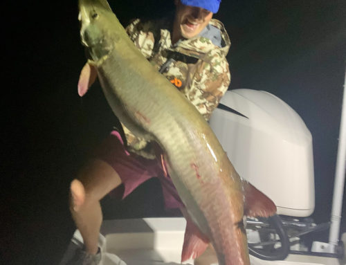 The Makings of a Minnesota State Record Musky