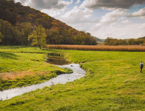 Driftless Day Dreams: The Story of a Montanan’s Search for Midwestern Trout