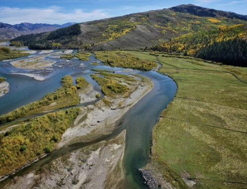 Strengthening the Snake: Collaborative Snake River Ranch Project Aims to Enhance Native Trout Habitat and Bank Stability