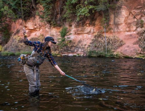 Help Trout Unlimited Support Trout and Sign the Good Samaritan Legislation